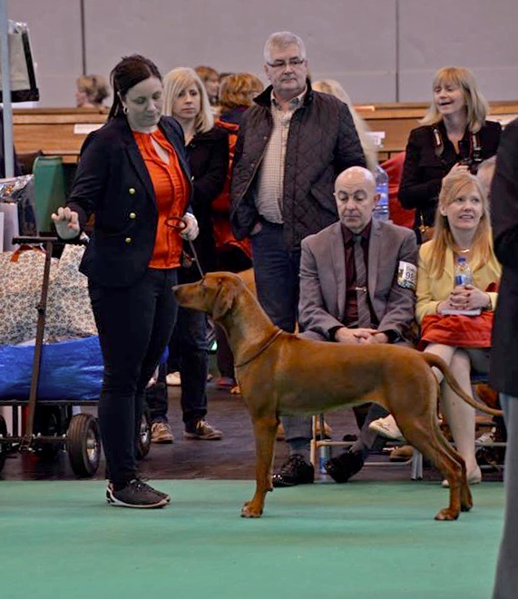 zoe-crufts2014-march