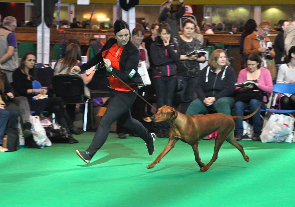 zoe-crufts2014-march2