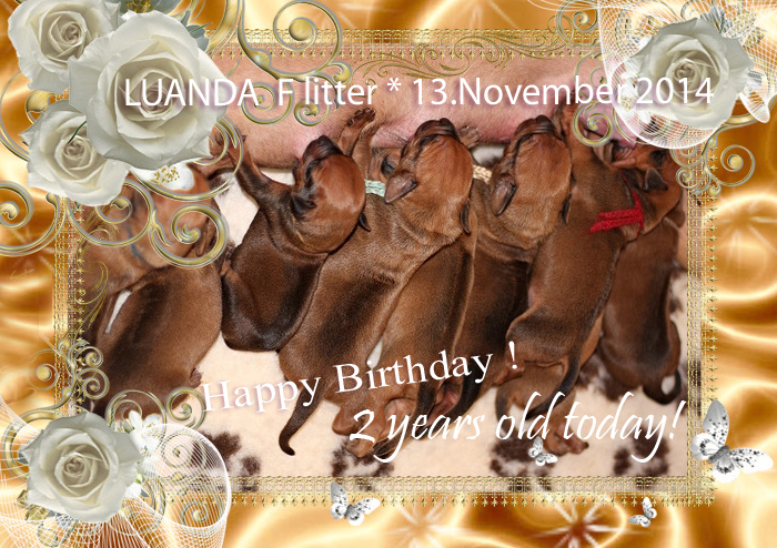 F litter 2years old HBday