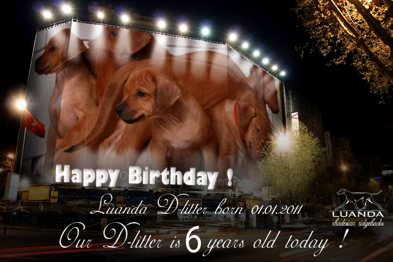 d litter 6yrs 