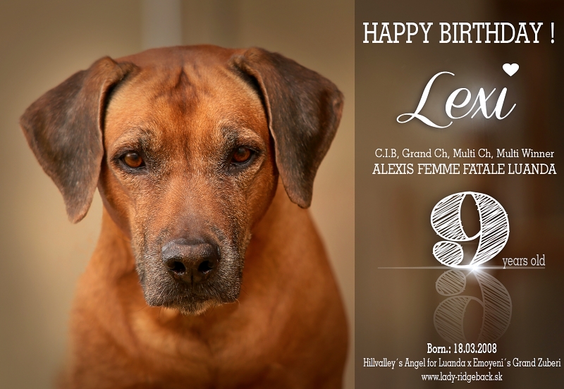 lexi HB 9web