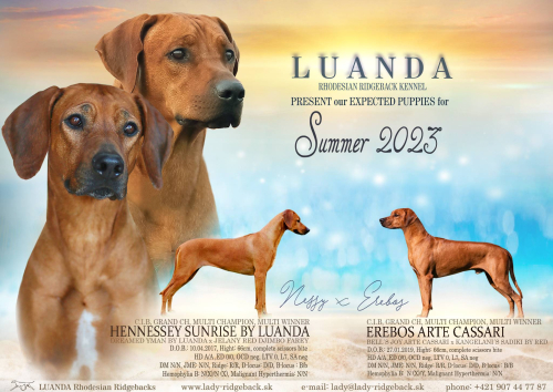 luanda-l-litter2023-nessy-erebos