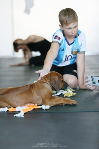 9 -weeks - puppy yoga