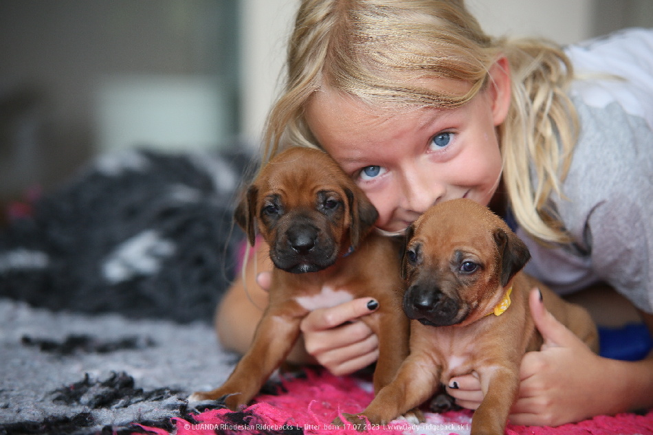3 weeks old L litter IMG 3224
