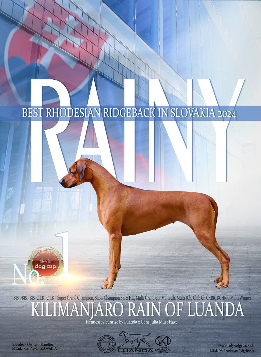 BEST RR 2024 Rainy  