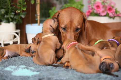 M - litter - week 2