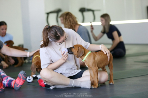 9 -weeks - puppy yoga