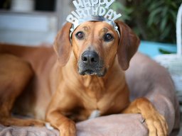 0nessy-img_0706