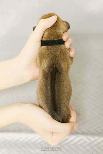 06-mr-black-1