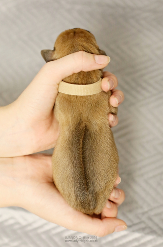 10-mr-beige-1
