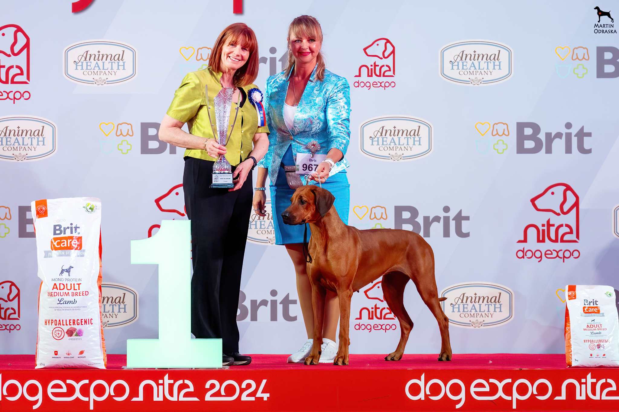 0 w20240616 181530 A0 09222 de