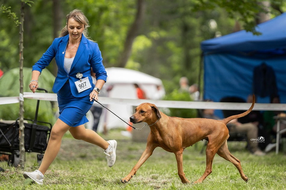 0 rainicka ids lucenec2024DSC00091w