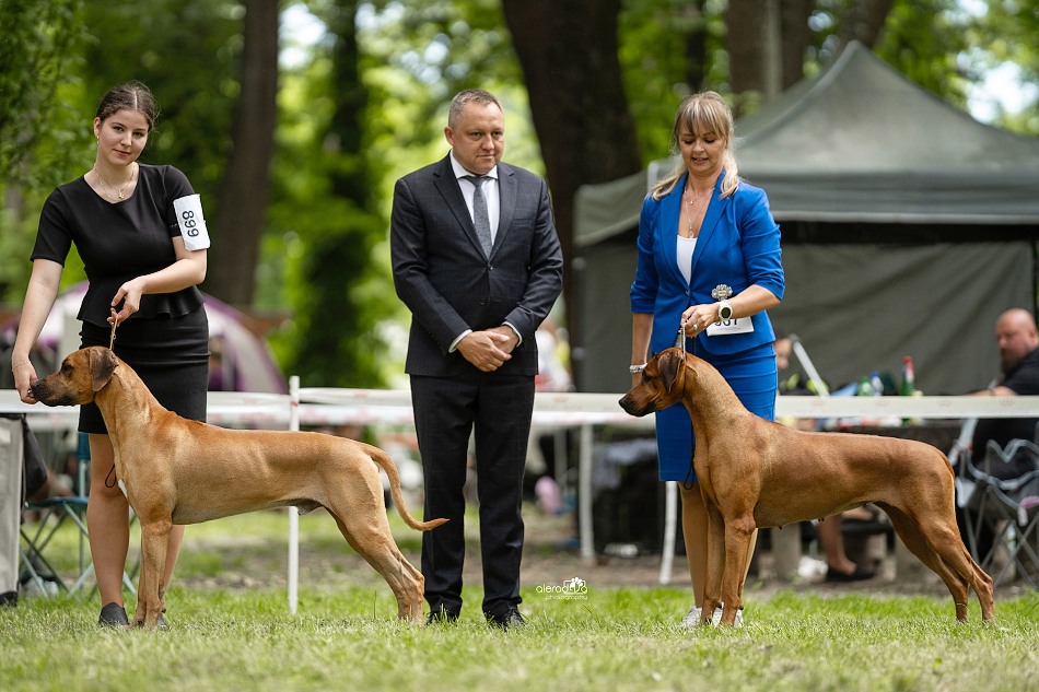 0 rainy kita IDS lucenec2024DSC00330print