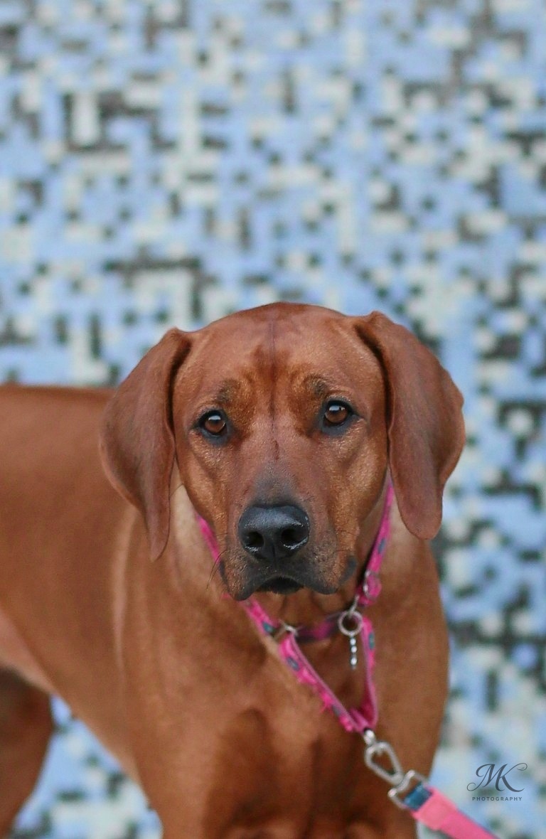 daisy portrait IMG 4162w