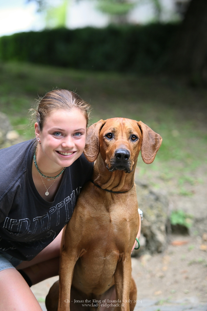Jonas the King of Luanda - LUANDA Rhodesian Ridgebacks