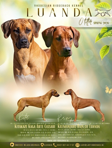 o-litter-kita-rainy2026-w